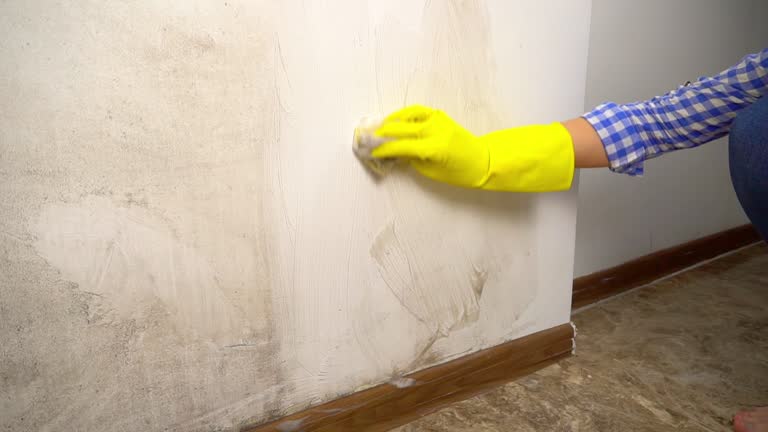 Best Residential Mold Inspection & Testing  in Ottumwa, IA